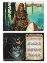 Adventure Party: Mercenary + Weirding Woods promo cards board game